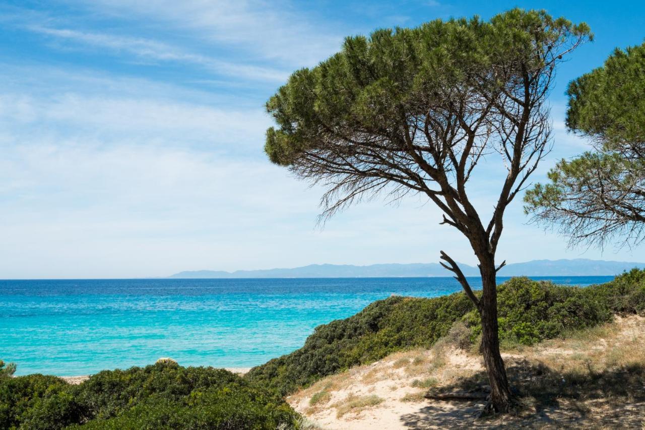 Appartamento Con Vista Mare A Terramala Terra Mala Eksteriør bilde